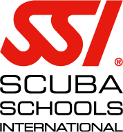 SSi