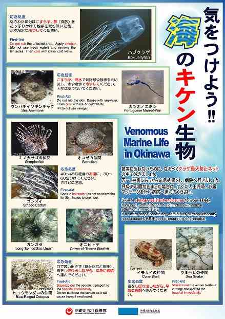 気をつけよう海のキケン生物