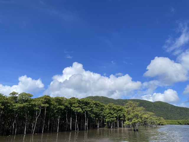 亜熱帯気候の沖縄旅行を楽しむための服装と天気情報！台風シーズンも解説のタイトル画像