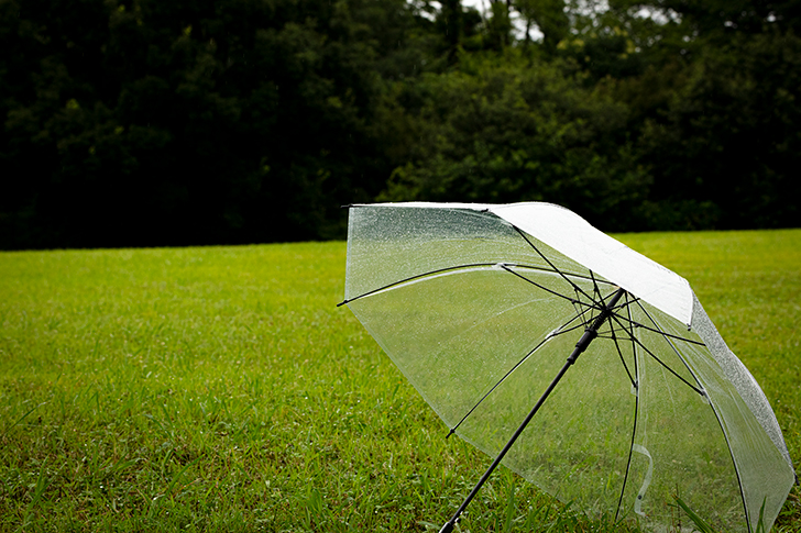 雨の中、緑の芝生に傘がおこれている画像