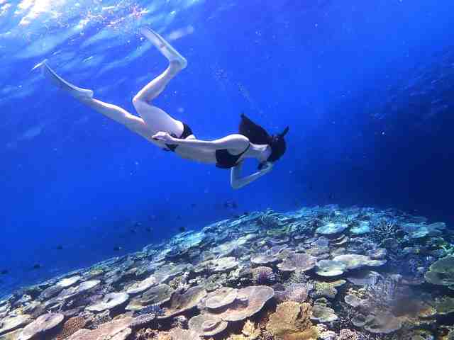 女性が青く綺麗なサンゴのある海にシュノーケルをつけて潜っている画像