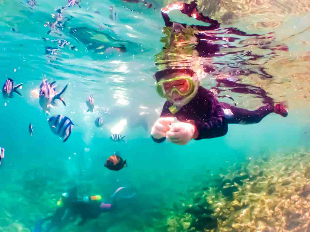 シュノーケリングに最適な水着はビキニ？快適で安全な海遊びを楽しむための完全ガイドのタイトル画像