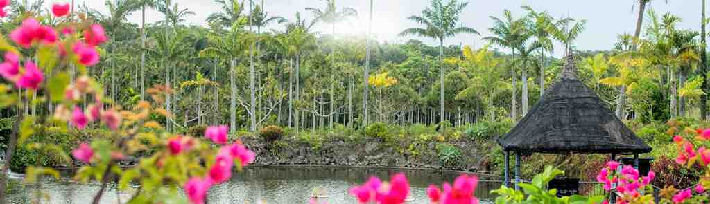 東南植物楽園の景色の画像