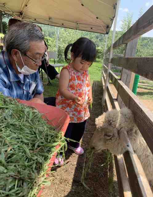 おじいちゃんと女の子供で動物にエサをあげている画像